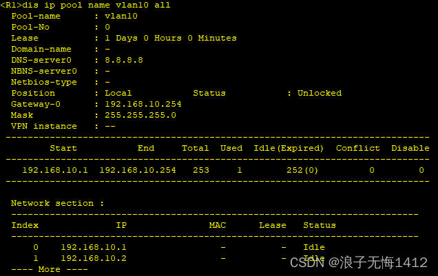 查看vlan10 ip池所有ip使用情况