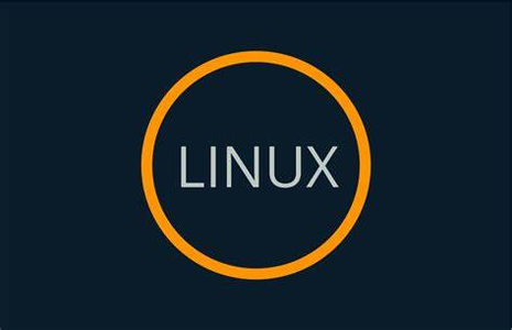 【Linux】常用指令、热键与权限管理