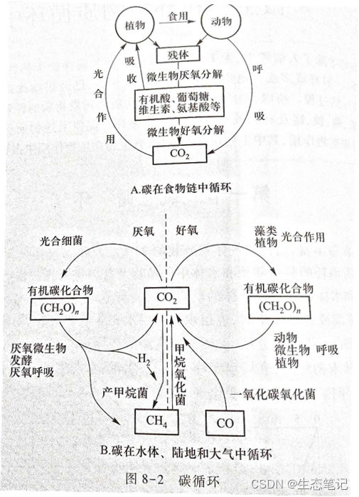环境中碳循环