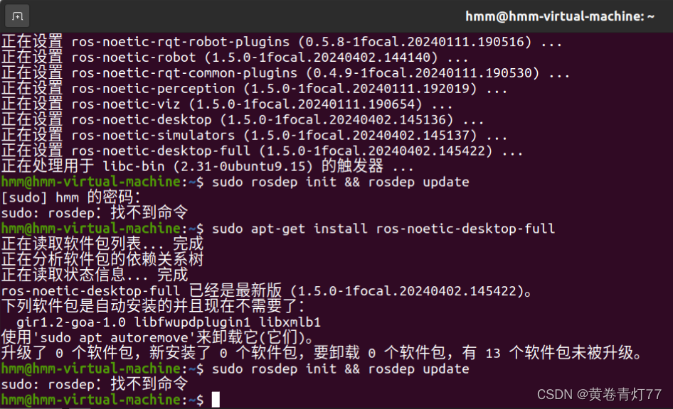20240507最新 ubuntu20.04安装ros noetic