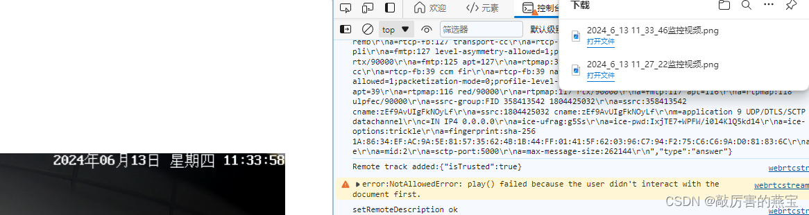 Vue2/Vue3使用video播放视频--捕获截图