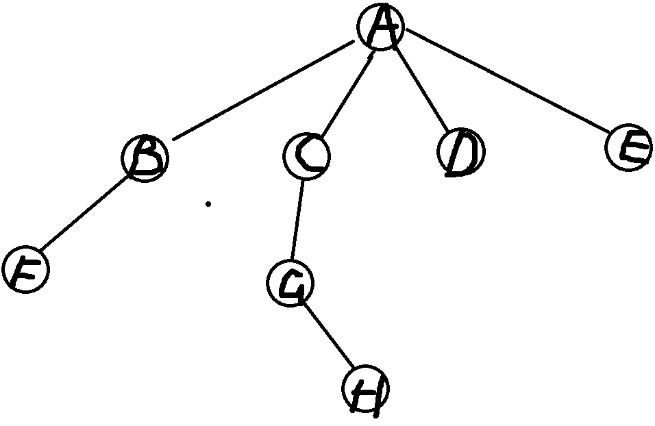 二叉树的基础讲解