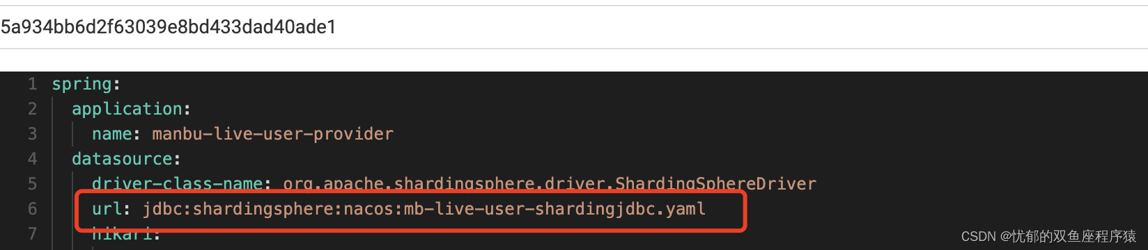 shardinig-JDBC二开-支持sharding-jdbc的配置文件接入到nacos