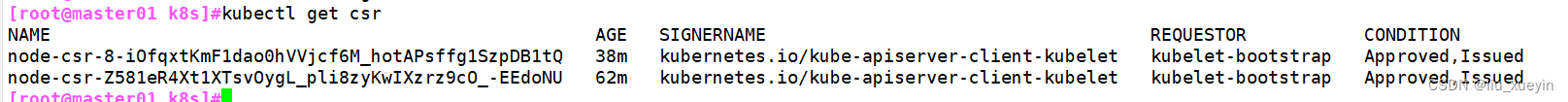 【kubernetes】二进制部署k8s集群之master节点和etcd数据库集群（上）