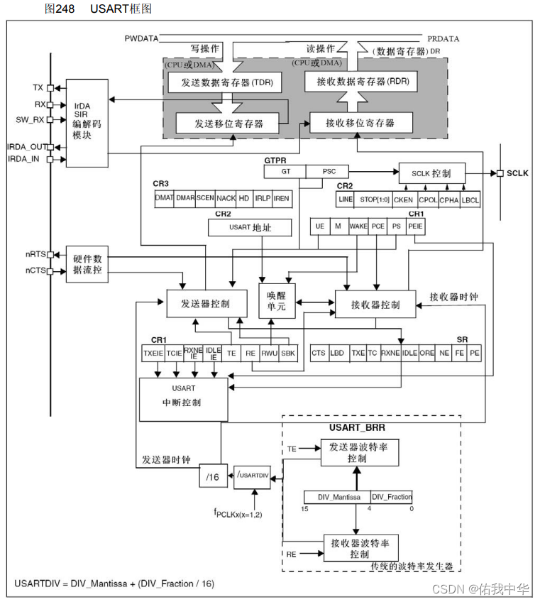 USART结构框图