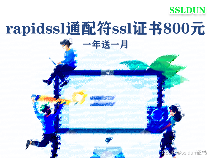 rapidssl通配符ssl证书800元一年送一月