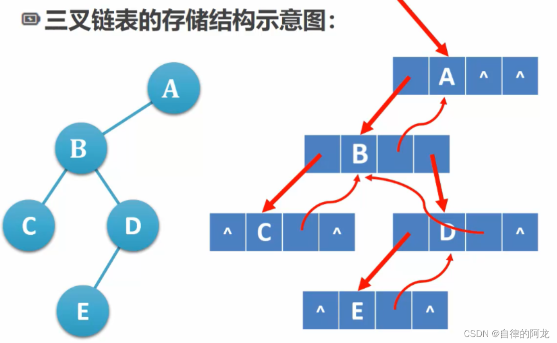 C语言 二叉树详解（自我理解版）！！！二叉树的实现