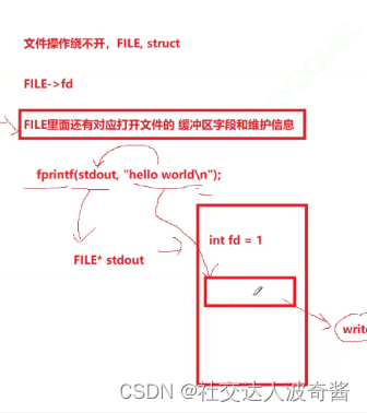 波奇学Linux：文件缓冲区