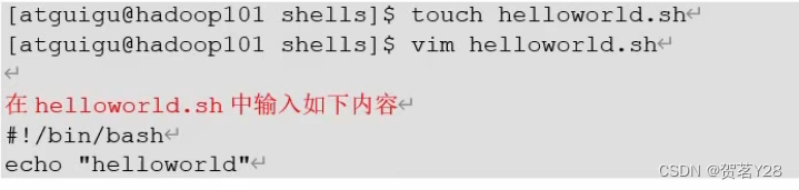 shell编程——脚本入门