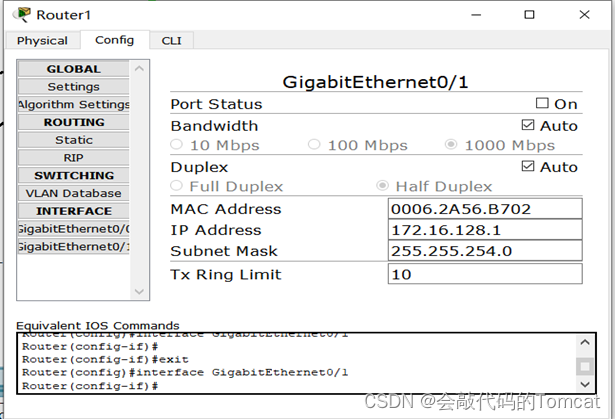计算机网络综合组网实验