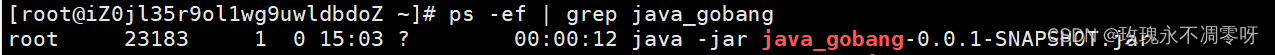 Linux项目<span style='color:red;'>的</span><span style='color:red;'>挂</span><span style='color:red;'>起</span><span style='color:red;'>与</span>结束