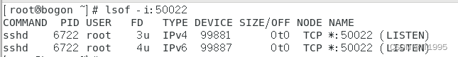 <span style='color:red;'>Docker</span>笔记-Debian<span style='color:red;'>容器</span>内<span style='color:red;'>搭</span><span style='color:red;'>建</span>ssh服务