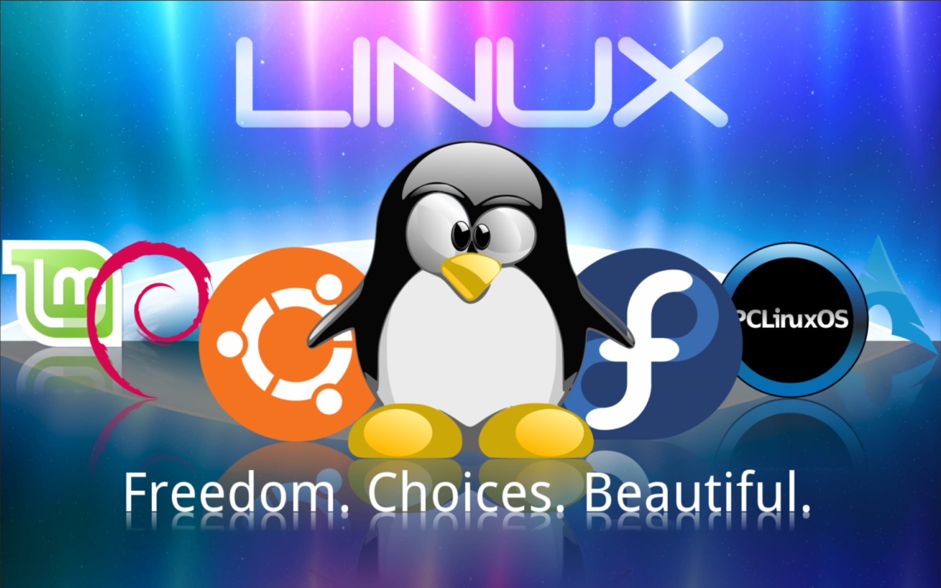 【Linux】：文件查看 stat、cat、more、less、head、tail、uniq、wc