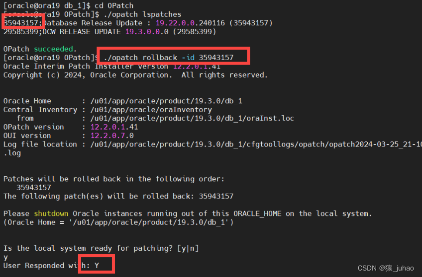 oracle19c单实例补丁升级和回退