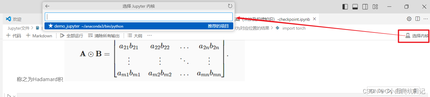 Vscode连接WSL2当中的jupyter