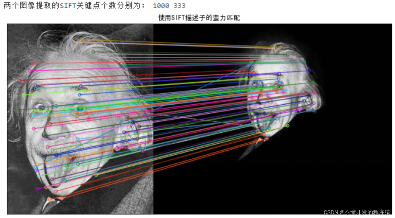 基于OpenCv的图像SIFT特征点检测和特征匹配