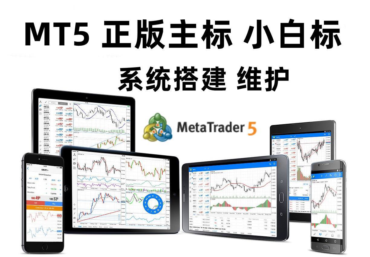 ST5外汇平台和MT5平台出租搭建的流程和步骤_mt5搭建-CSDN博客