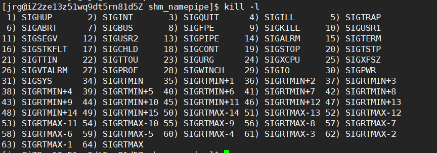 Linux-进程信号