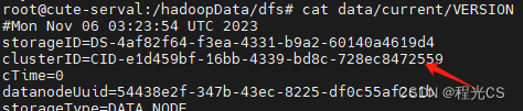 yarn集群datanode无法启动问题排查