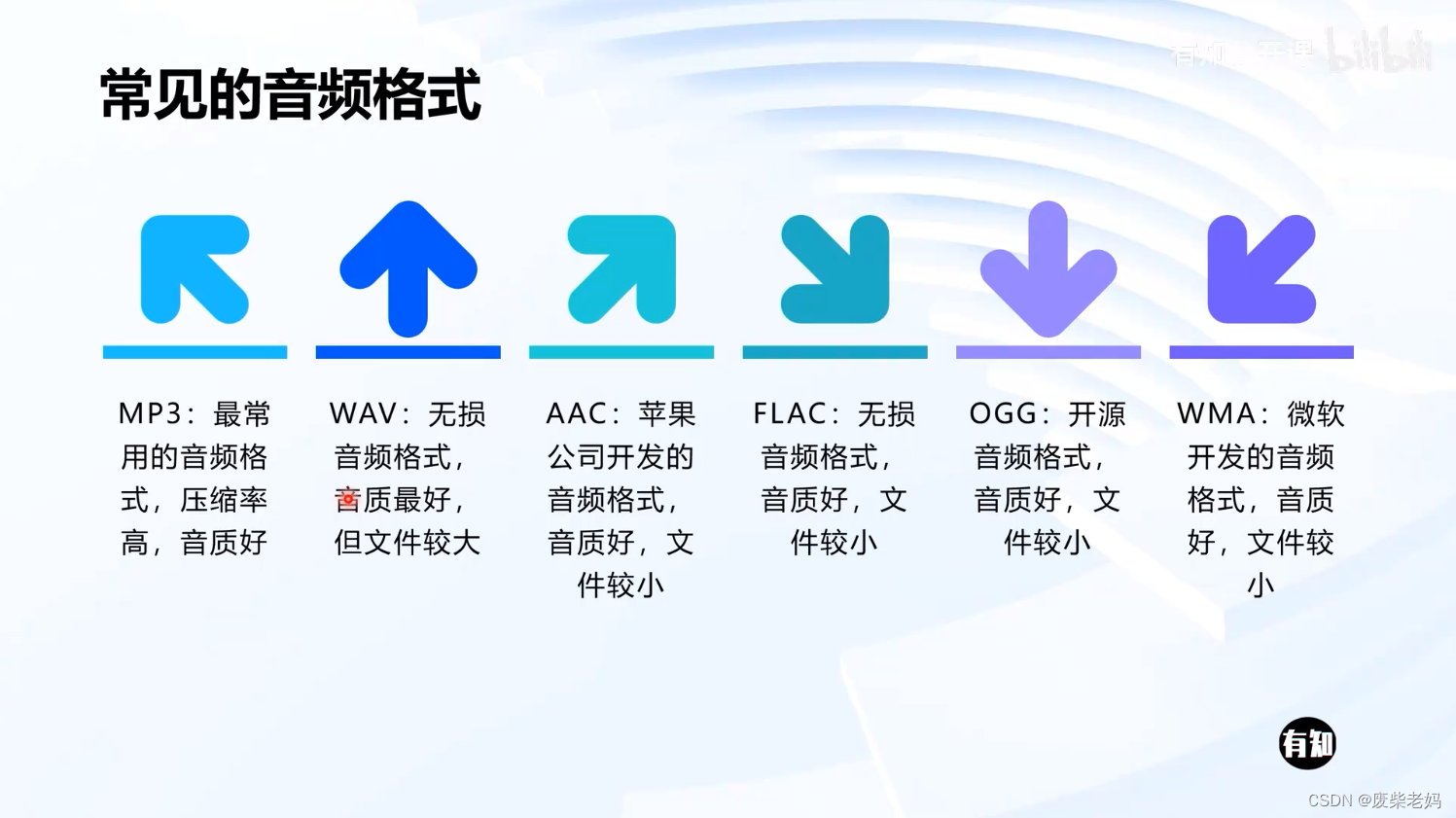 【剪映专业版】06音频和图片格式