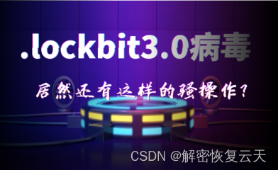 虚拟机服务器中了lockbit3.0勒索病毒怎么办，lockbit3.0勒索病毒解密数据恢复