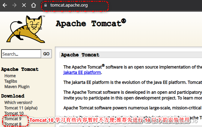 Tomcat9-下载