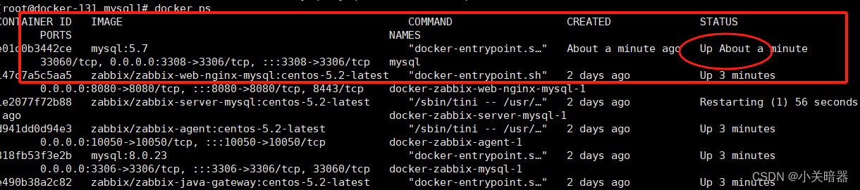 docker （六）-进阶篇-数据持久化最佳实践MySQL部署