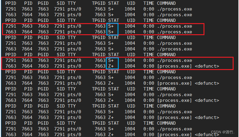 Linux<span style='color:red;'>进程</span>概念（<span style='color:red;'>下</span>）