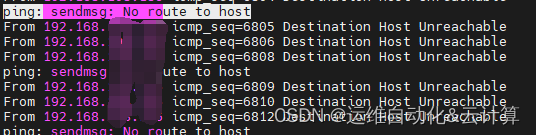 Linux报 “no route to host” 异常 ping: sendmsg: No route to host