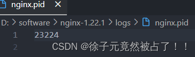 Nginx中logs的nginx.pid文件引发的问题