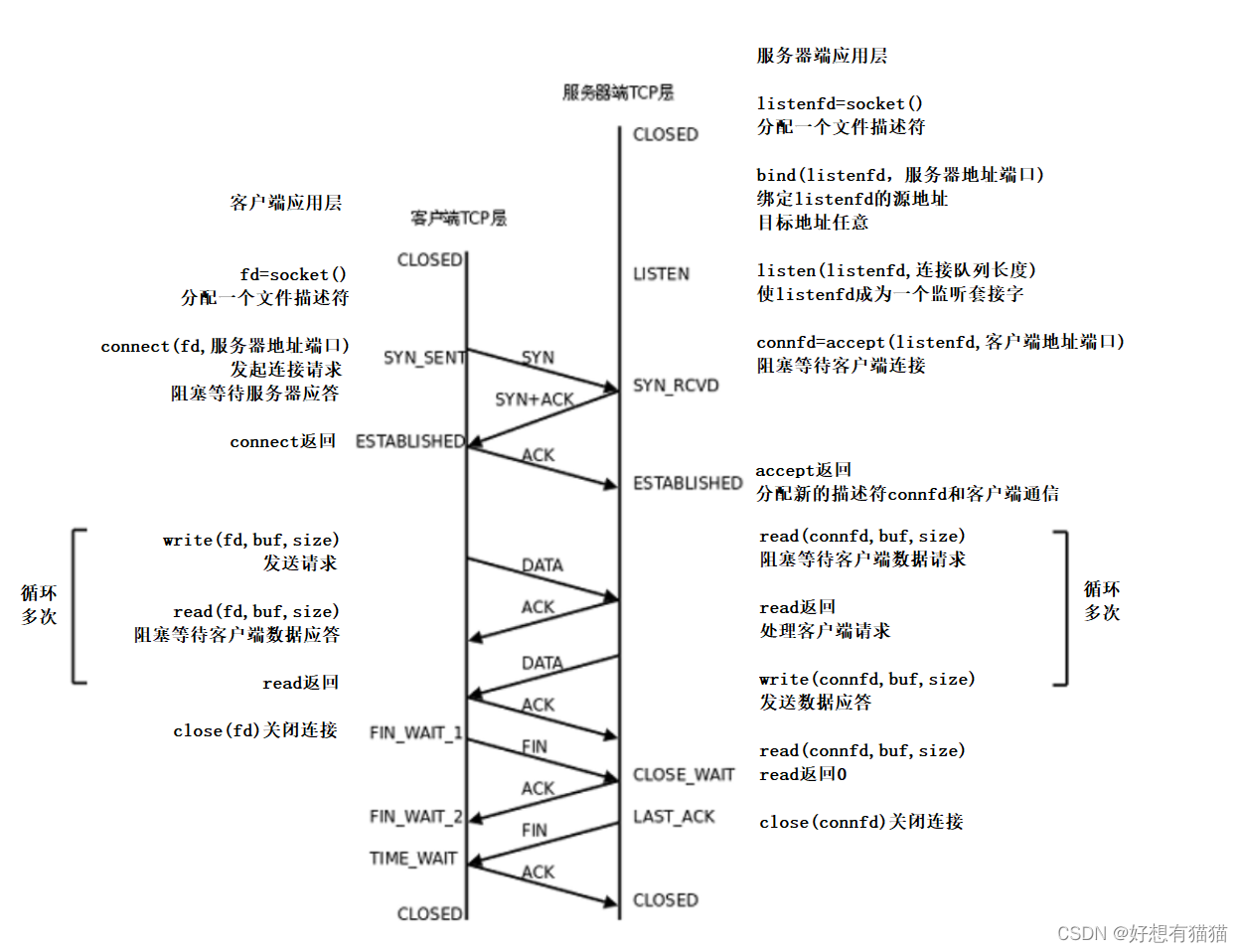 【计算机网络】TCP协议——2.连接管理(三次握手，四次挥手)