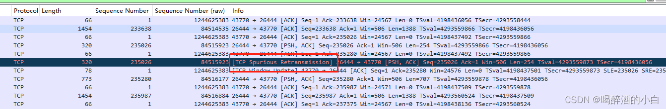 TCP Spurious Retransmission