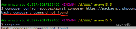 怎么解决bash: composer: command not found问题