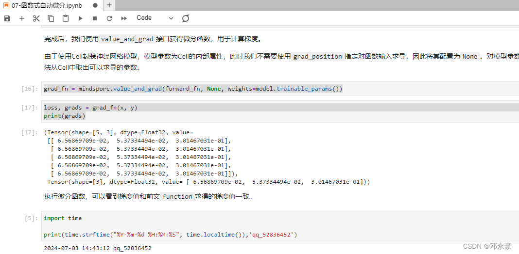 《昇思25天学习打卡营第7天|函数式自动微分》