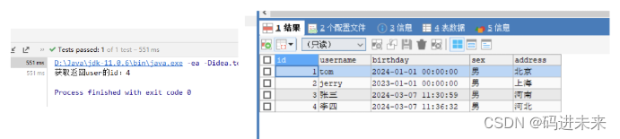 「Mybatis深入四」：插入数据后返回主键