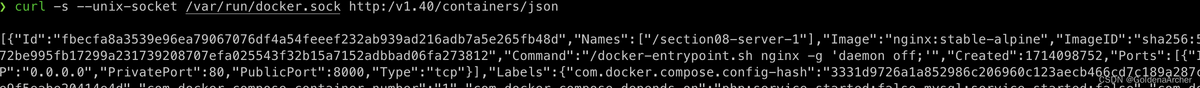 crul docker socket