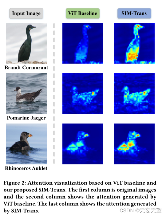 vit细粒度图像分类（八）SIM-Trans学习笔记