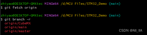 git<span style='color:red;'>远程</span><span style='color:red;'>仓库</span>分支<span style='color:red;'>推</span><span style='color:red;'>送</span>与常见问题