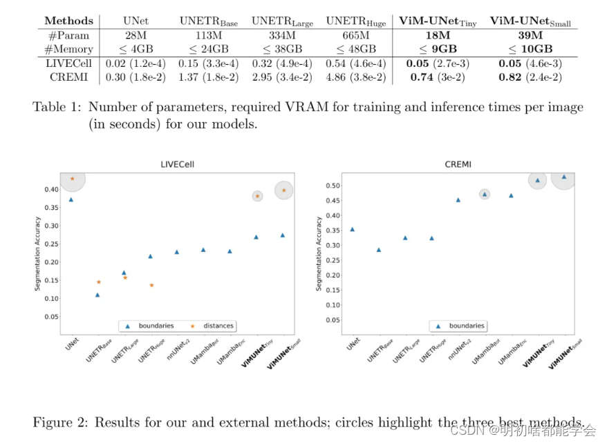 ViM-UNet：用于生物医学细分的 Vision Mamba