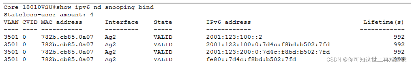 Ⅲ ipv6 savi安全