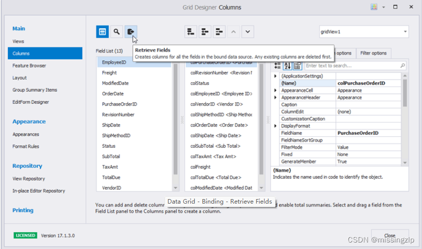 DevExpress Data Binding