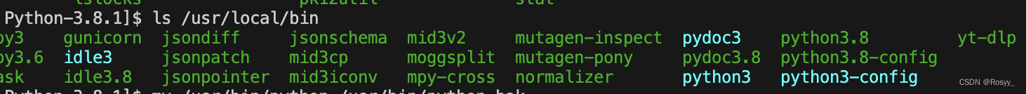 【vscode配置服务器】Vscode配置服务器+python版本升级_vscode更新python版本-CSDN博客