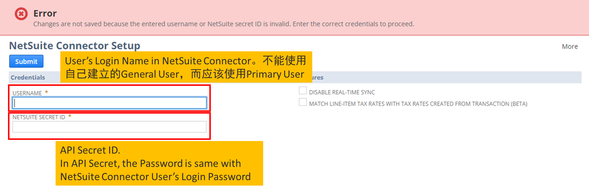 NetSuite Connector实践分享