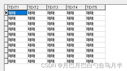 回答网友的一个DBGrid的问题