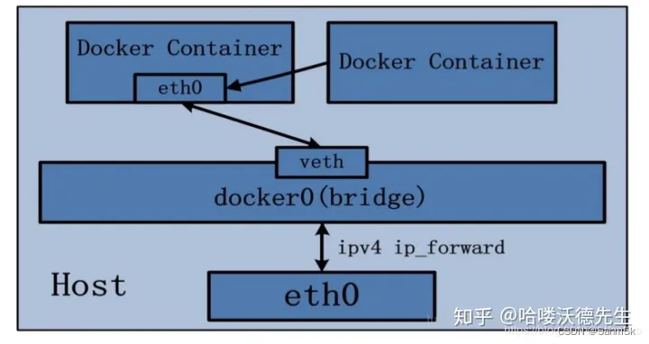 docker network网络