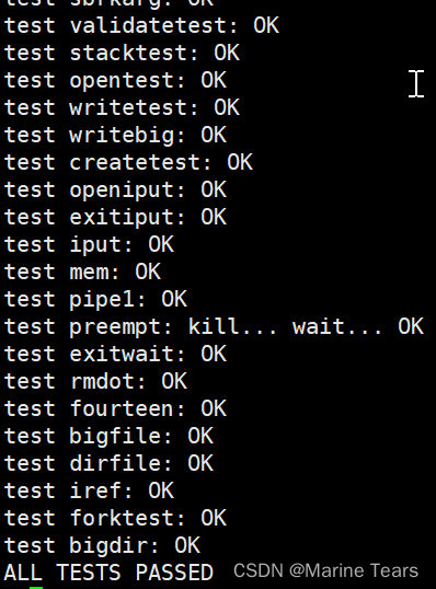 MIT 6.S081---Lab: Copy-on-Write Fork for xv6