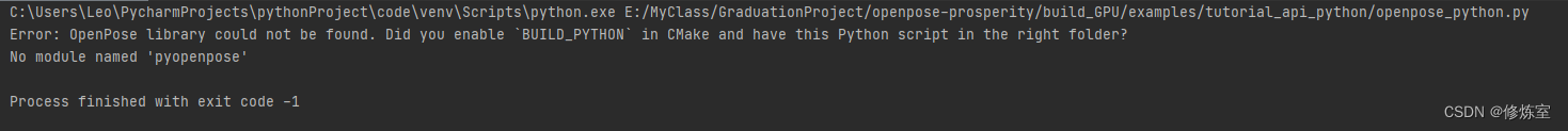 Python版本错误示例