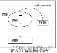了解如何在linux使用podman管理容器
