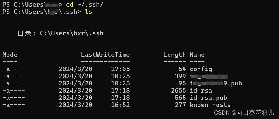 #CS基本技能#生成 SSH 密钥（windows+liunx）