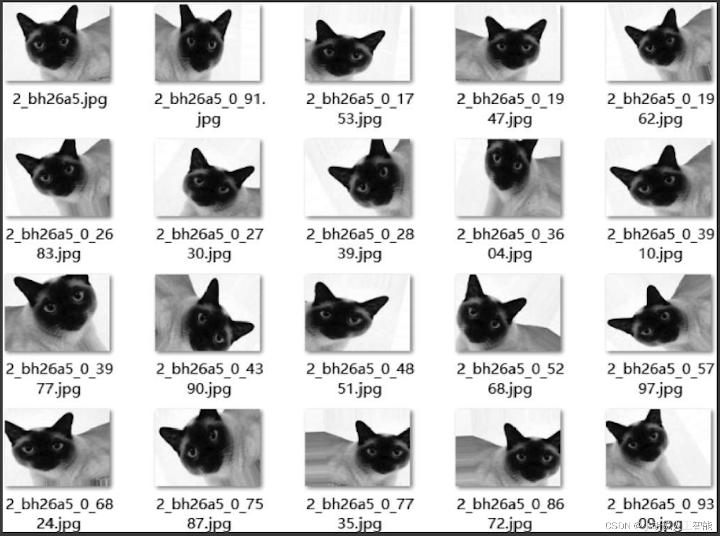 基于CNN+数据增强+残差网络Resnet50的少样本高准确度猫咪种类识别—深度学习算法应用(含全部工程源码)+数据集+模型（二）